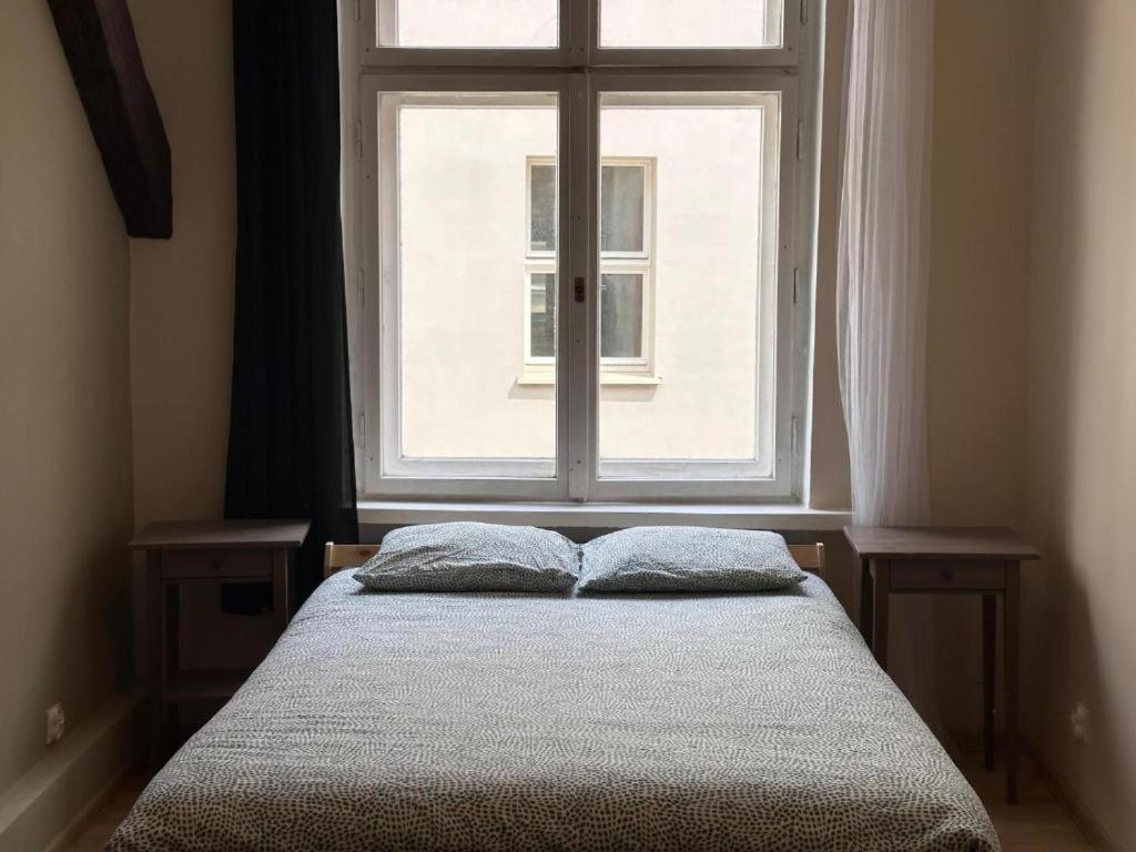 Apolla 34 * Poznan
